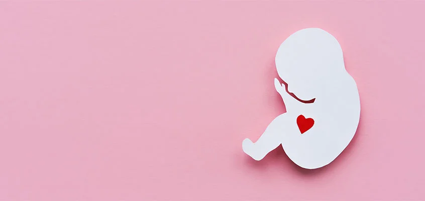 آخرین مهلت برای تشکیل قلب جنین | اگر قلب جنین تشکیل نشود در هفته چندم سقط میشود