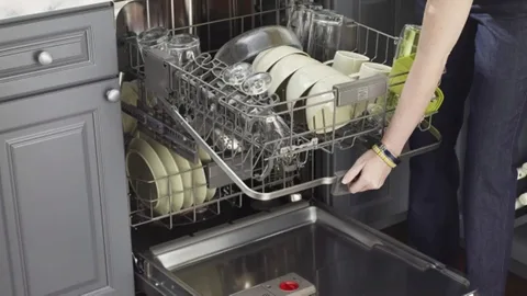 The reason why the Bosch dishwasher does not work