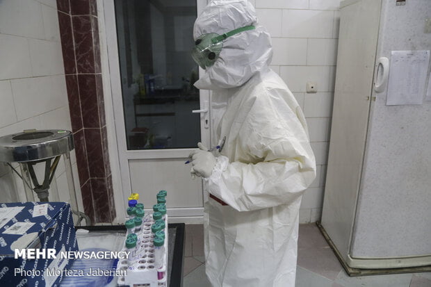 شناسایی 17 مورد جدید از کروناویروس در استان بوشهر