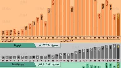 اینفوگرافیک / روند مراحل در ایران، از ۲۸ دی تا ۲۸ بهمن