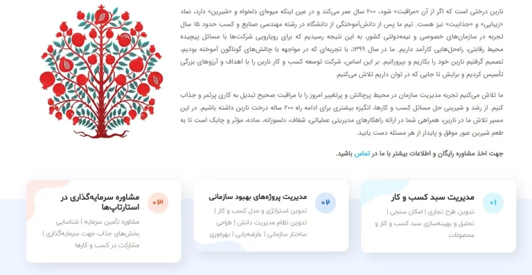 کسب و کار برتر ناربن یک شرکت توسعه کسب و کار است