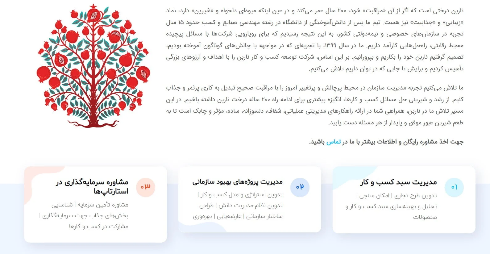 کسب و کار برتر