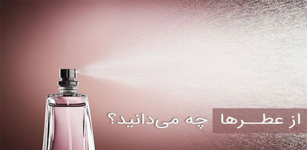 کسب و کار برتر