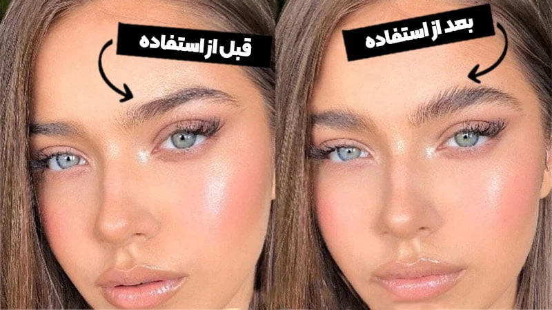 کسب و کار برتر