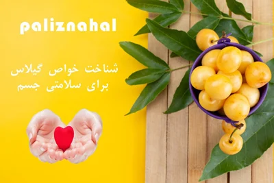 تغذیه