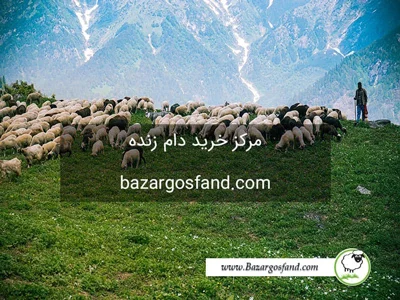 اقتصادی