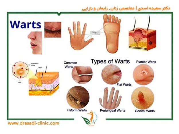 سلامت و دانش