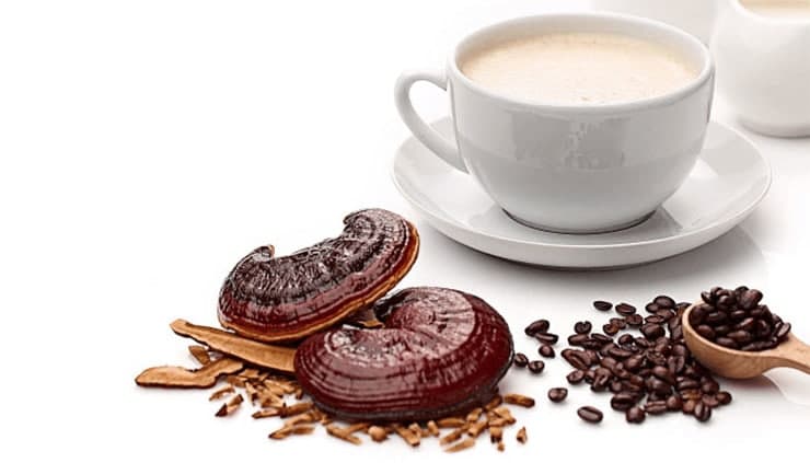 بهترین زمان مصرف قهوه گانودرما دکتر بیز | ترکیبات قهوه گانودرما سوپریم