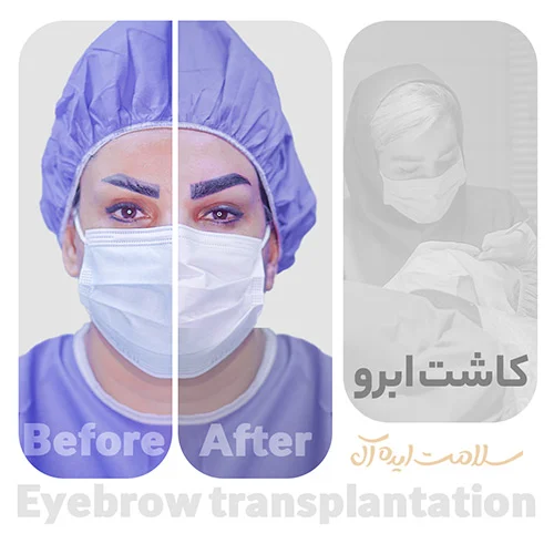 استان ها