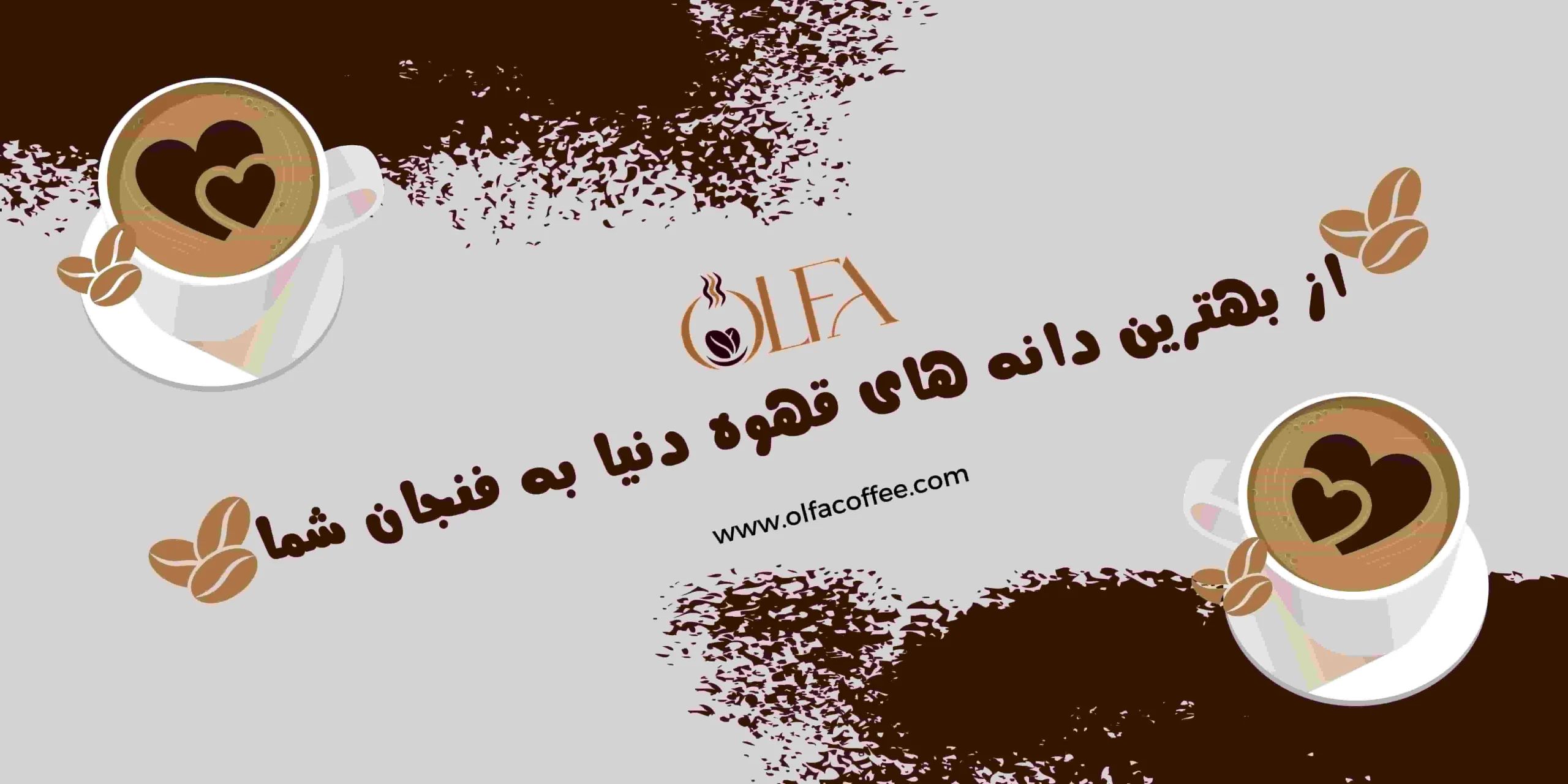 کسب و کار برتر