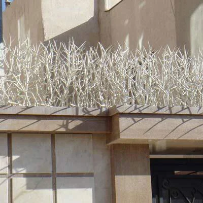اقتصادی