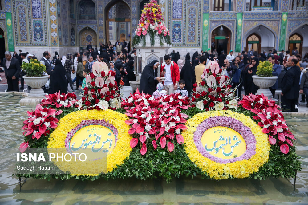آستانه شستوشو و پرداخت ضریح مطهر رضوی در آستانه میلاد امام رضا(ع)