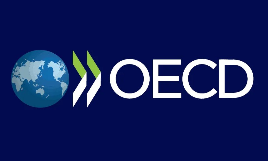 سازمان | سرمایه